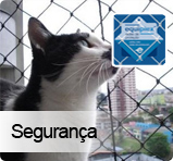 Globo Redes de Proteo