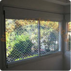 Redes de Proteo para Jenelas
