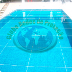 Redes de Proteo para Piscinas